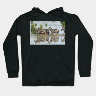 Zebras Crossing Hoodie